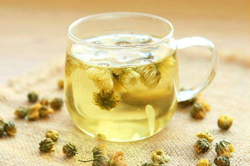 白菊花茶的功效与作用喝白菊花茶的好处有哪些 花茶 绿茶说