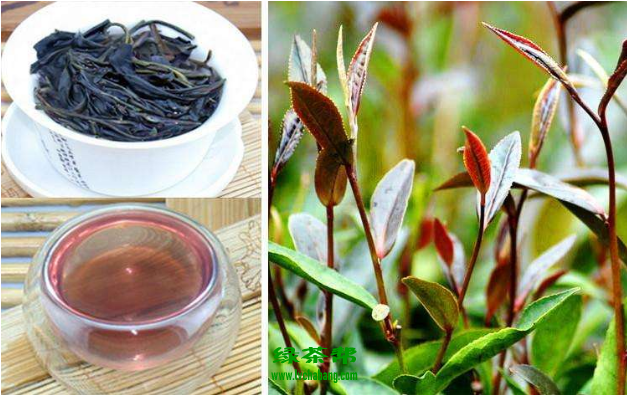 紫鹃茶属于什么档次的茶 紫鹃茶的价格