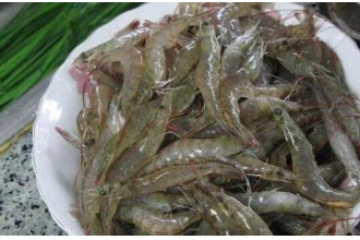 河虾的营养价值 吃