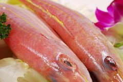 红三鱼与金丝鱼的区