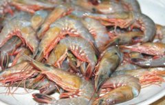 吃海虾的功效与作用