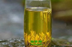 黄茶与黄大茶功效的区别 黄茶的功效与作用