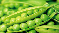 豌豆馅的功效与作用、禁忌和食用方法
